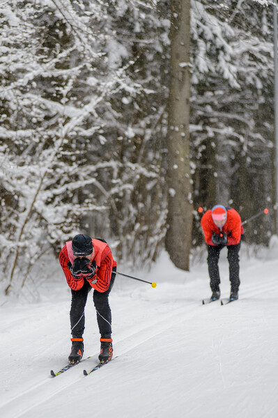 Лыжероллерная трасса