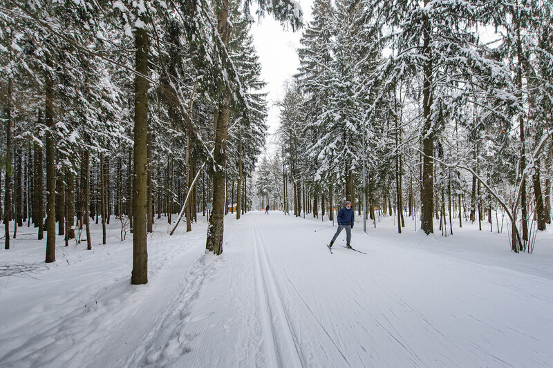 Лыжероллерная трасса