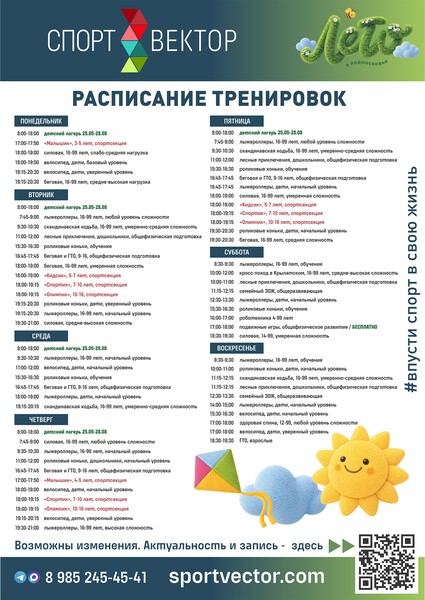 СпортВектор