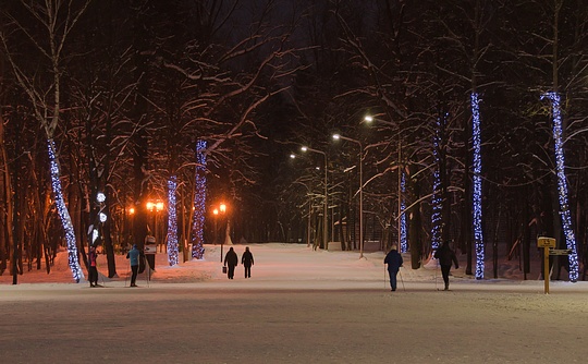 Зима в парке, 