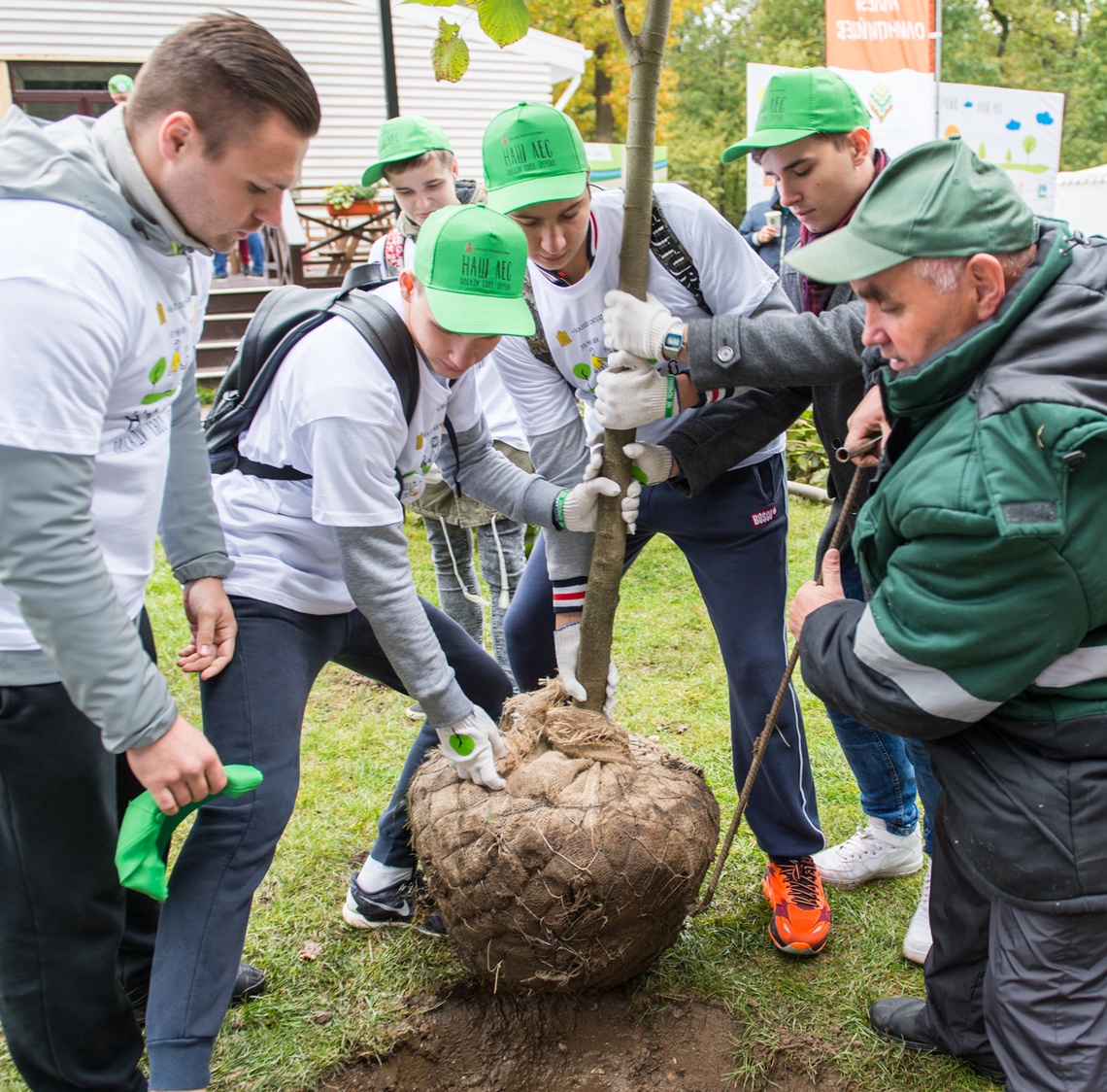 Аллея Олимпийских чемпионов, 