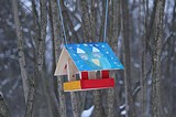 Одинцовский парк культуры, спорта и отдыха | мастер-класс по росписи кормушек