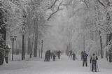 Манжосовская лыжная гонка 04.02.2018