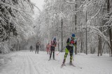Манжосовская лыжная гонка 04.02.2018