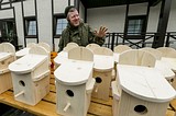 Одинцовский парк культуры, спорта и отдыха | День птиц