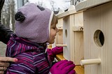 Одинцовский парк культуры, спорта и отдыха | День птиц