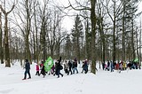 Одинцовский парк культуры, спорта и отдыха | День птиц