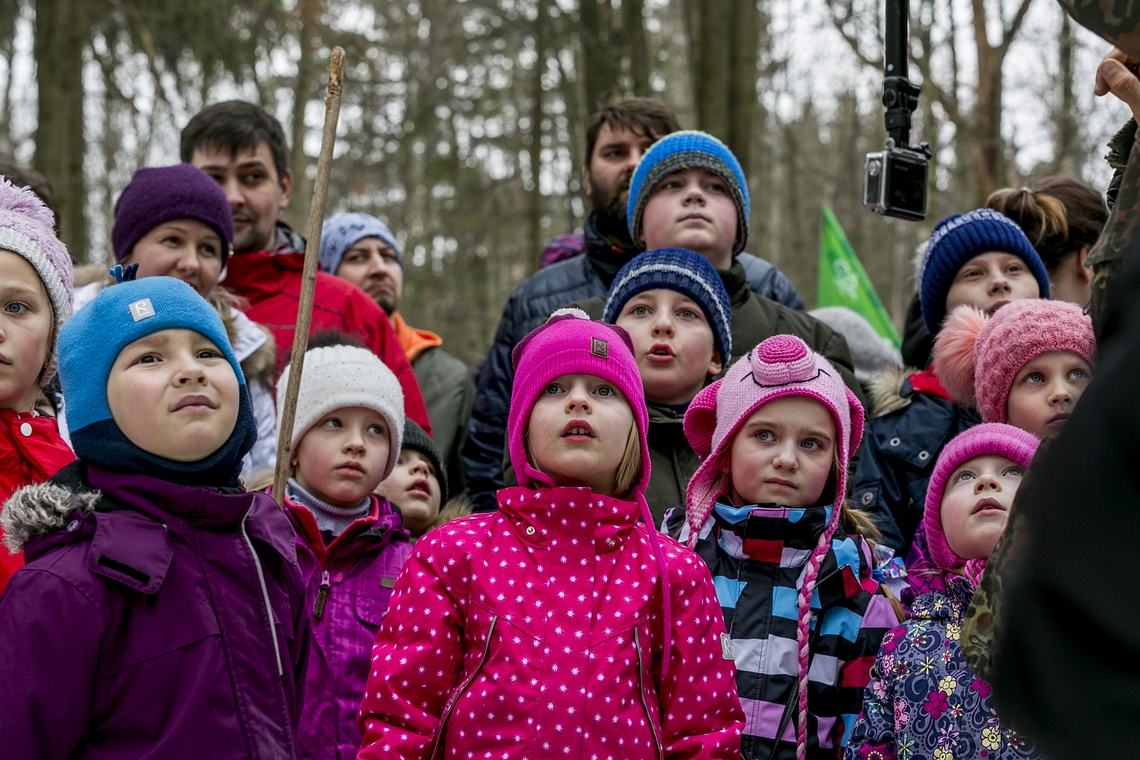 Одинцовский парк культуры, спорта и отдыха | День птиц, День птиц — 1 апреля, 