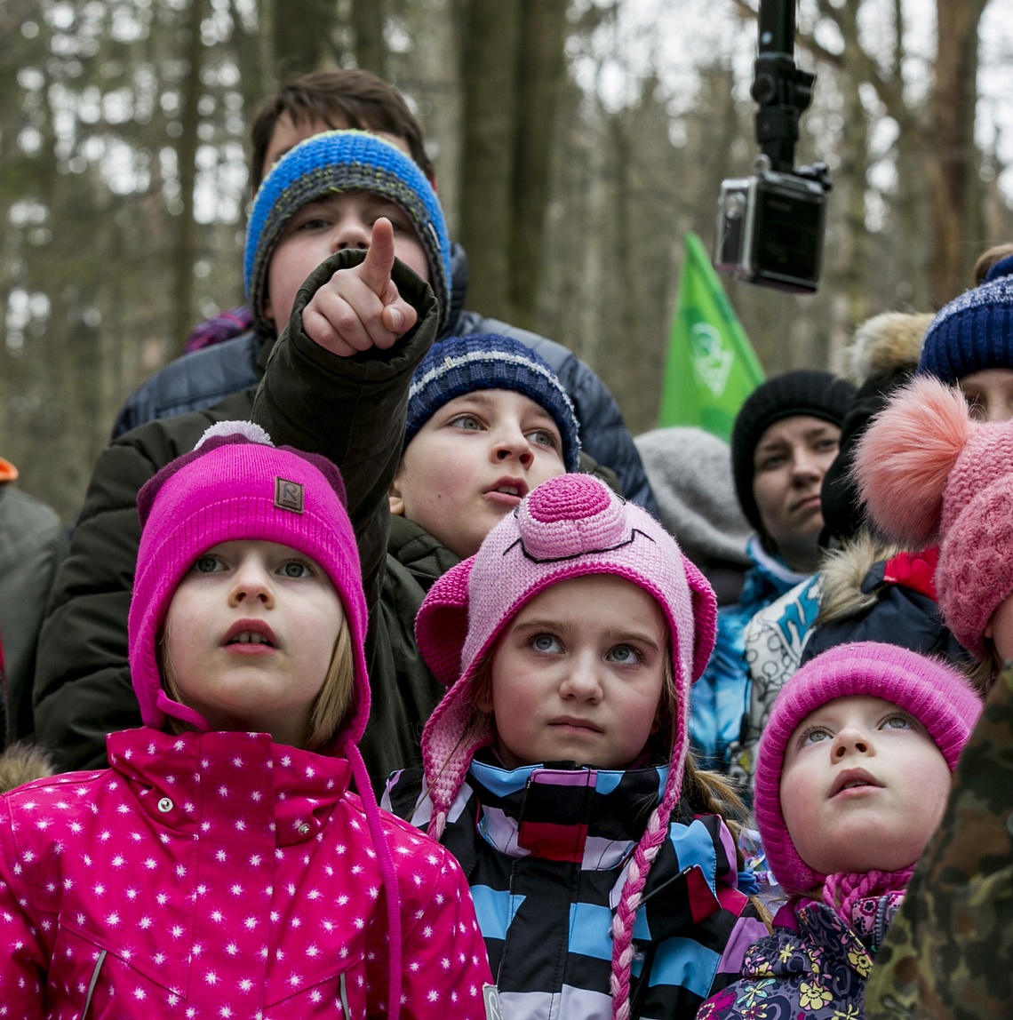 Одинцовский парк культуры, спорта и отдыха | День птиц, День птиц — 1 апреля, 