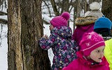 Одинцовский парк культуры, спорта и отдыха | День птиц