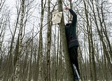 Одинцовский парк культуры, спорта и отдыха | День птиц
