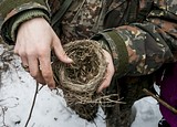 Одинцовский парк культуры, спорта и отдыха | День птиц