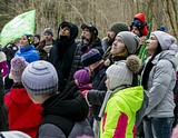 Одинцовский парк культуры, спорта и отдыха | День птиц