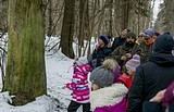 Одинцовский парк культуры, спорта и отдыха | День птиц