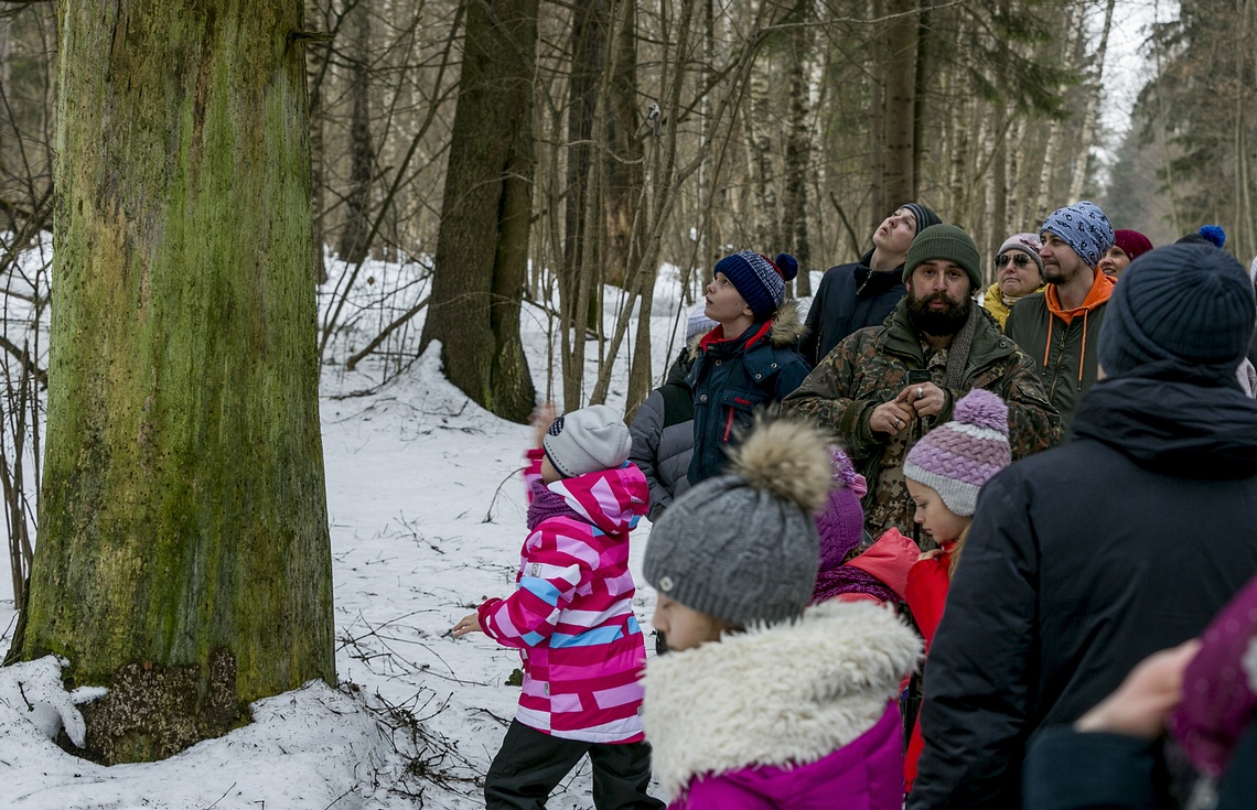 Одинцовский парк культуры, спорта и отдыха | День птиц, День птиц — 1 апреля, 