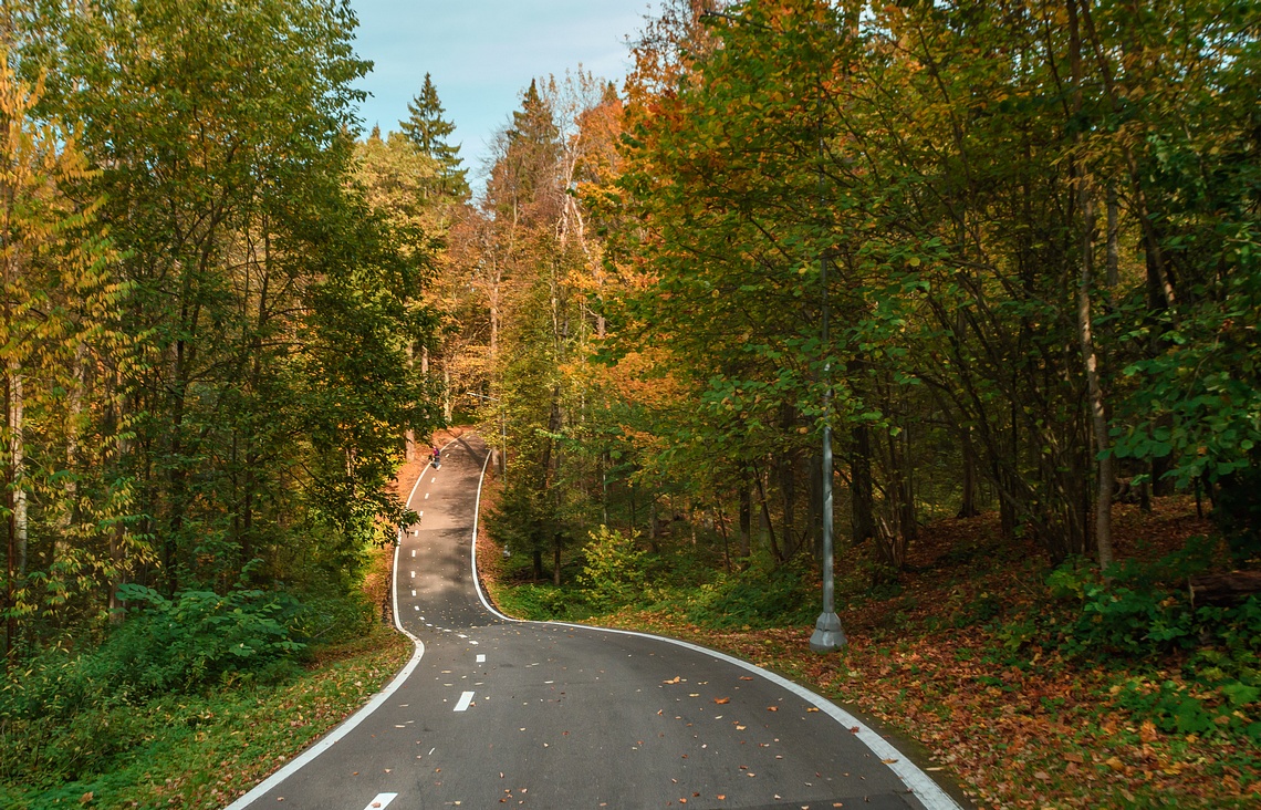 Лыжероллерная трасса, 