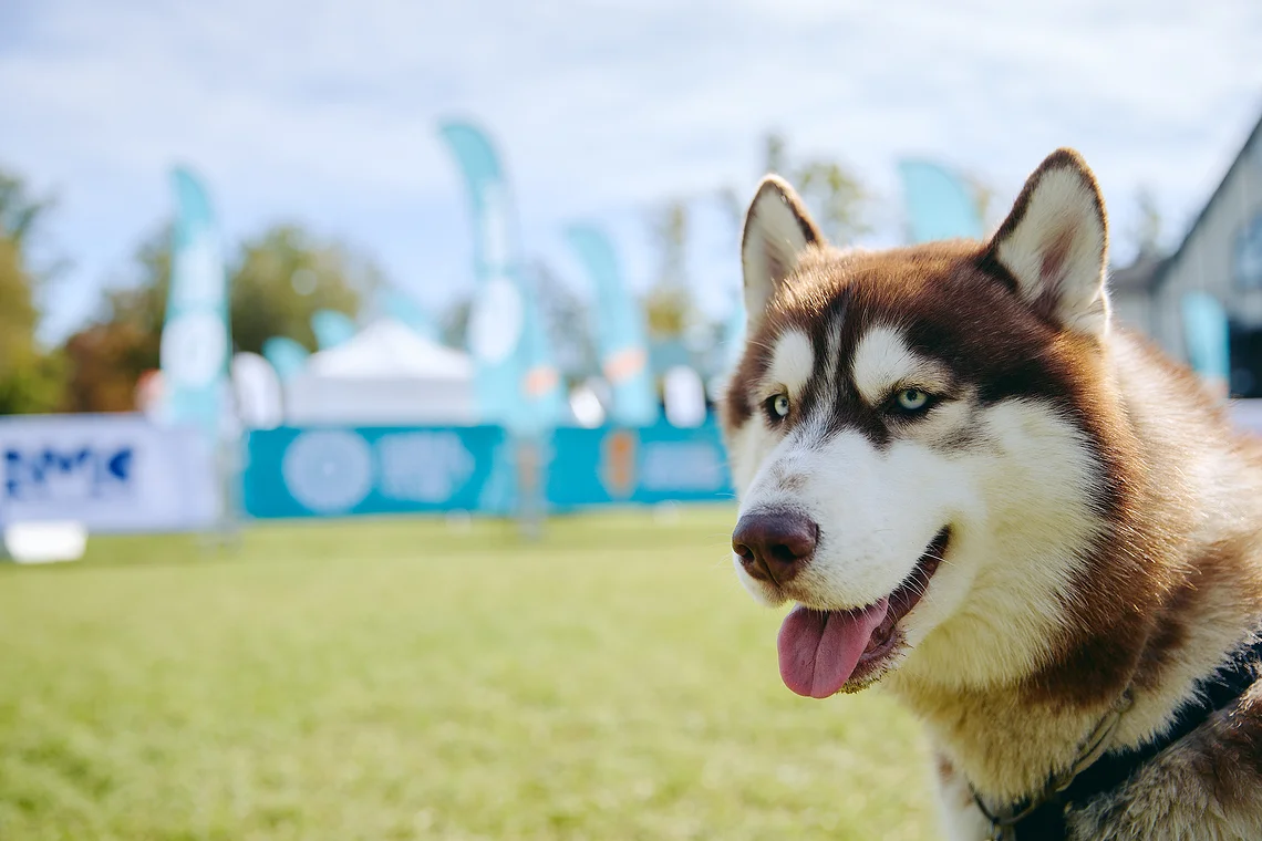Благотворительный забег «Огонь жизни»