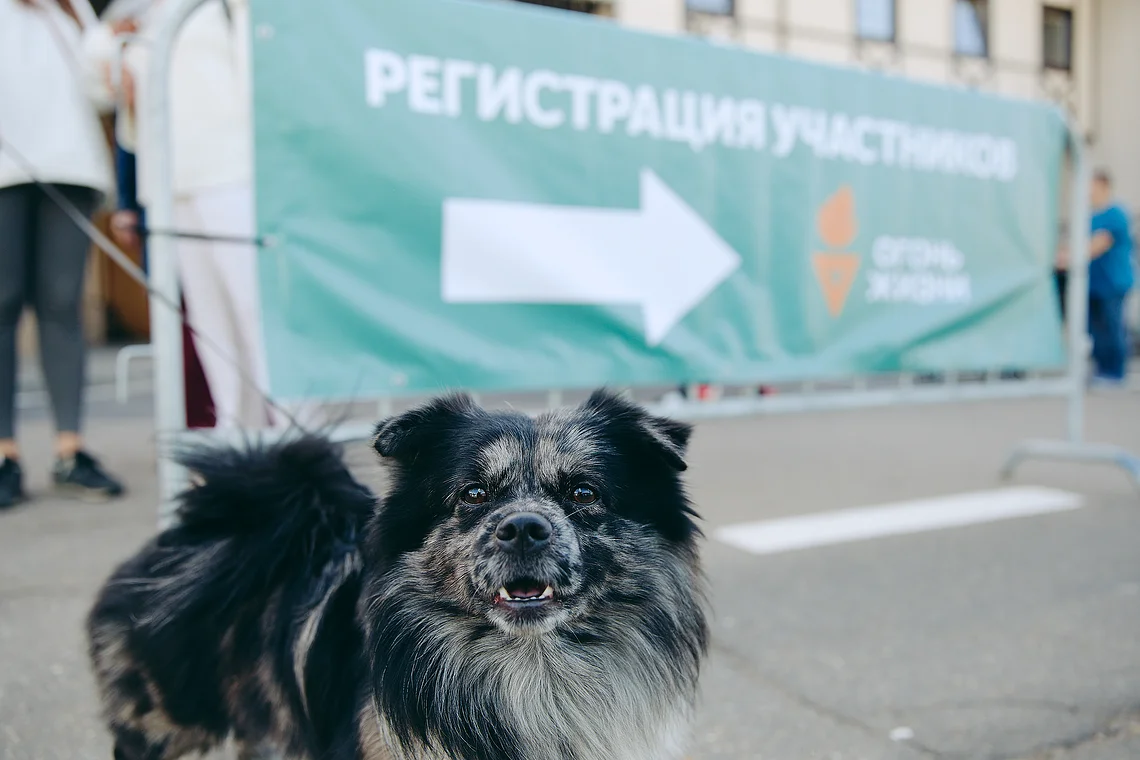 Благотворительный забег «Огонь жизни»