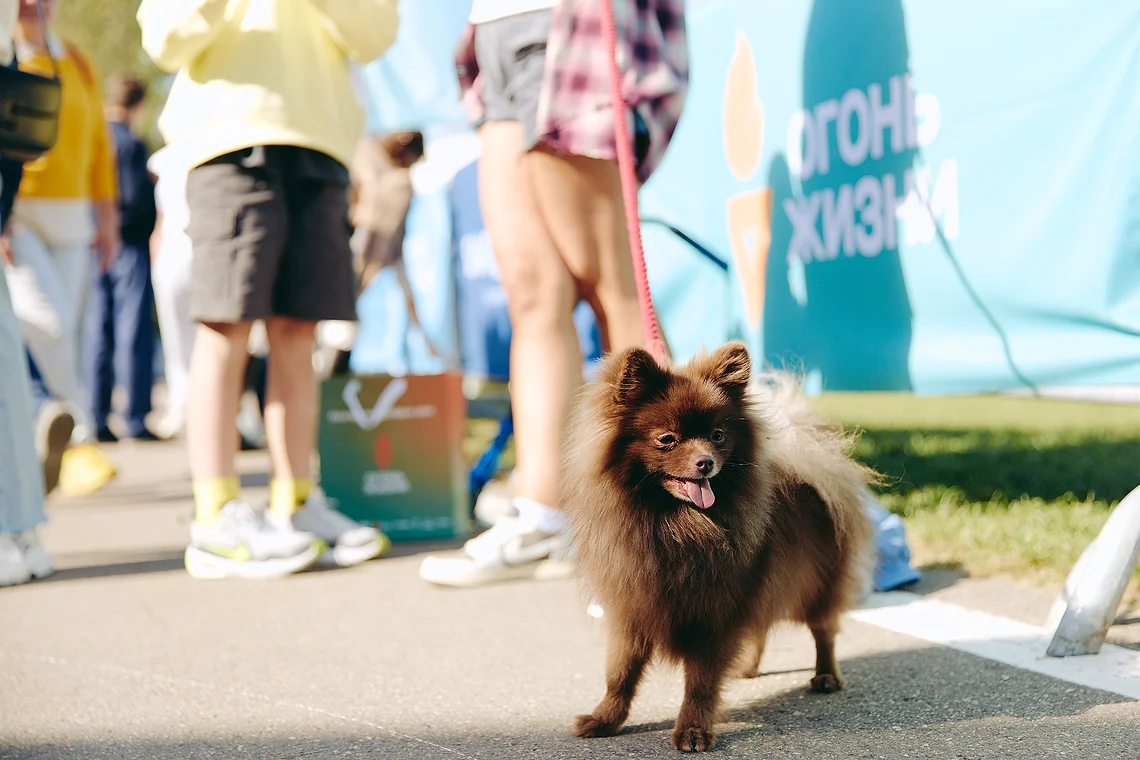 Благотворительный забег «Огонь жизни»