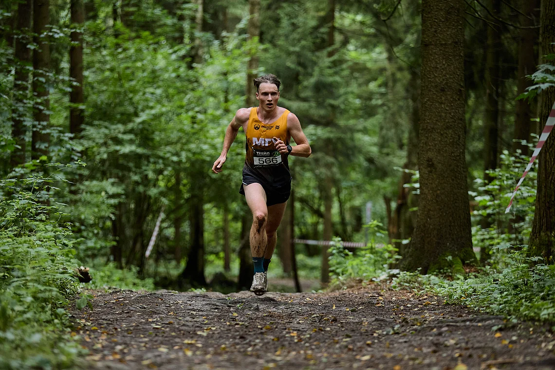 Гонка на лыжероллерах Repeat Race