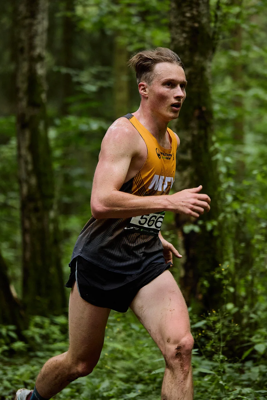 Гонка на лыжероллерах Repeat Race