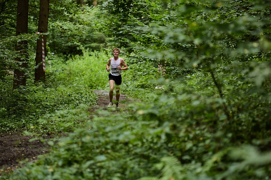 Гонка на лыжероллерах Repeat Race