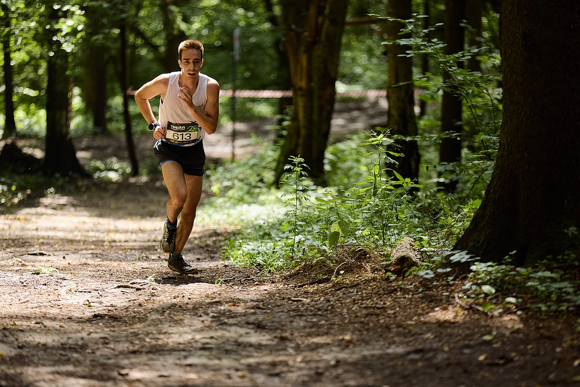 Гонка на лыжероллерах Repeat Race