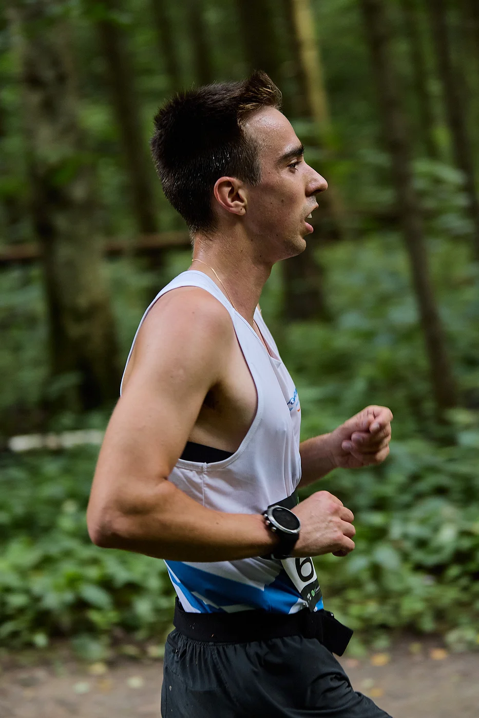 Гонка на лыжероллерах Repeat Race