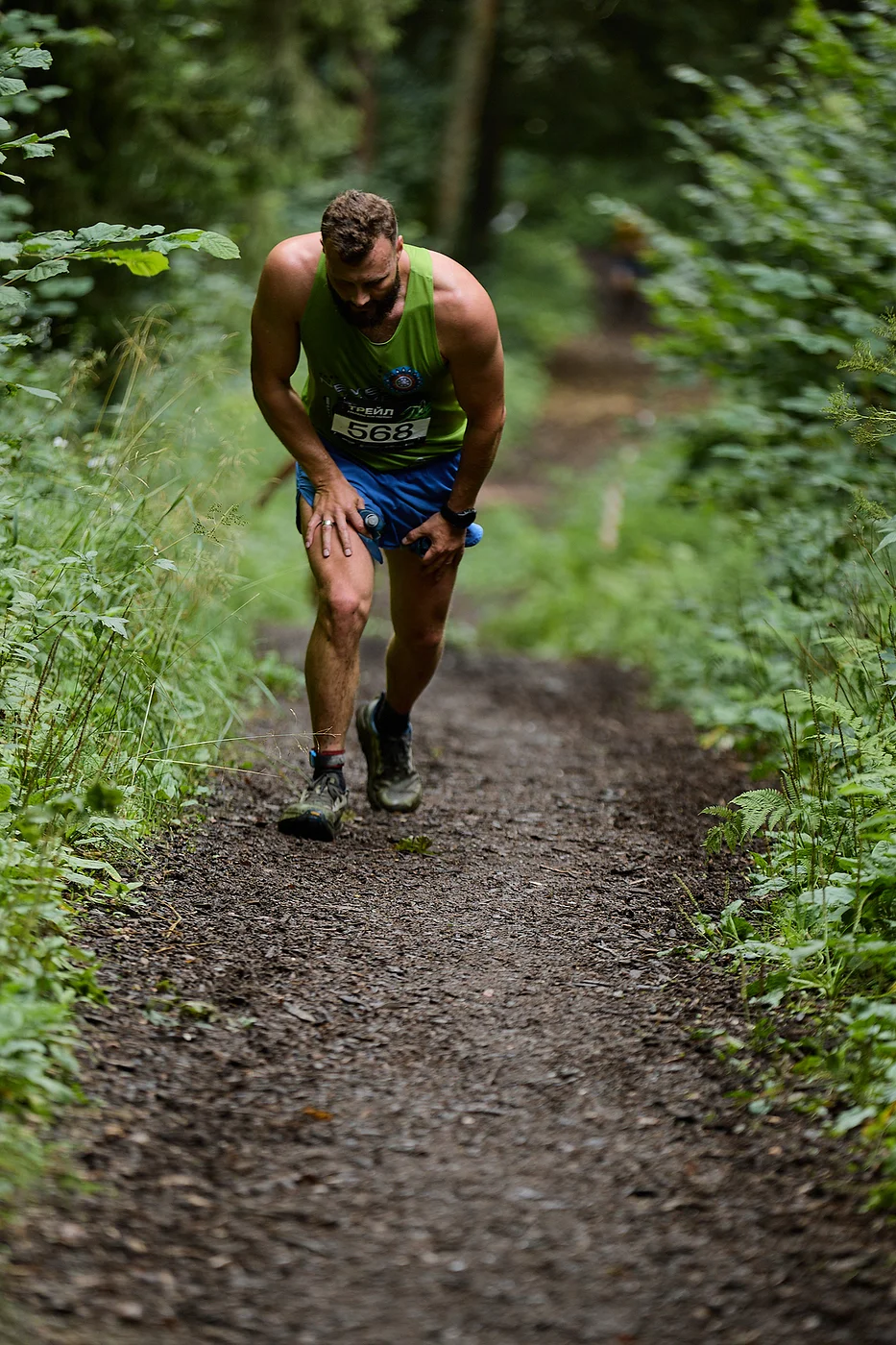 Гонка на лыжероллерах Repeat Race