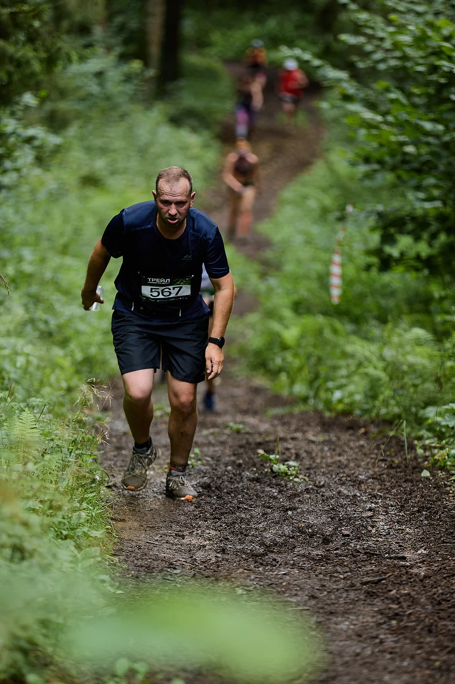 Гонка на лыжероллерах Repeat Race