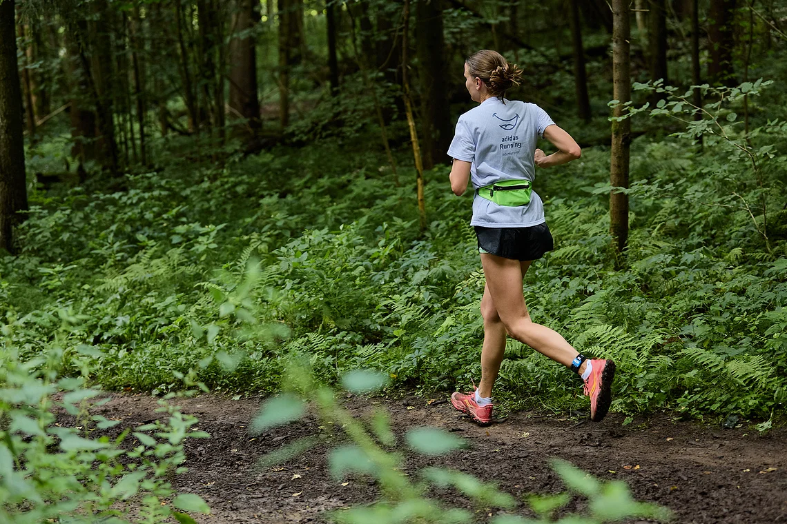 Гонка на лыжероллерах Repeat Race