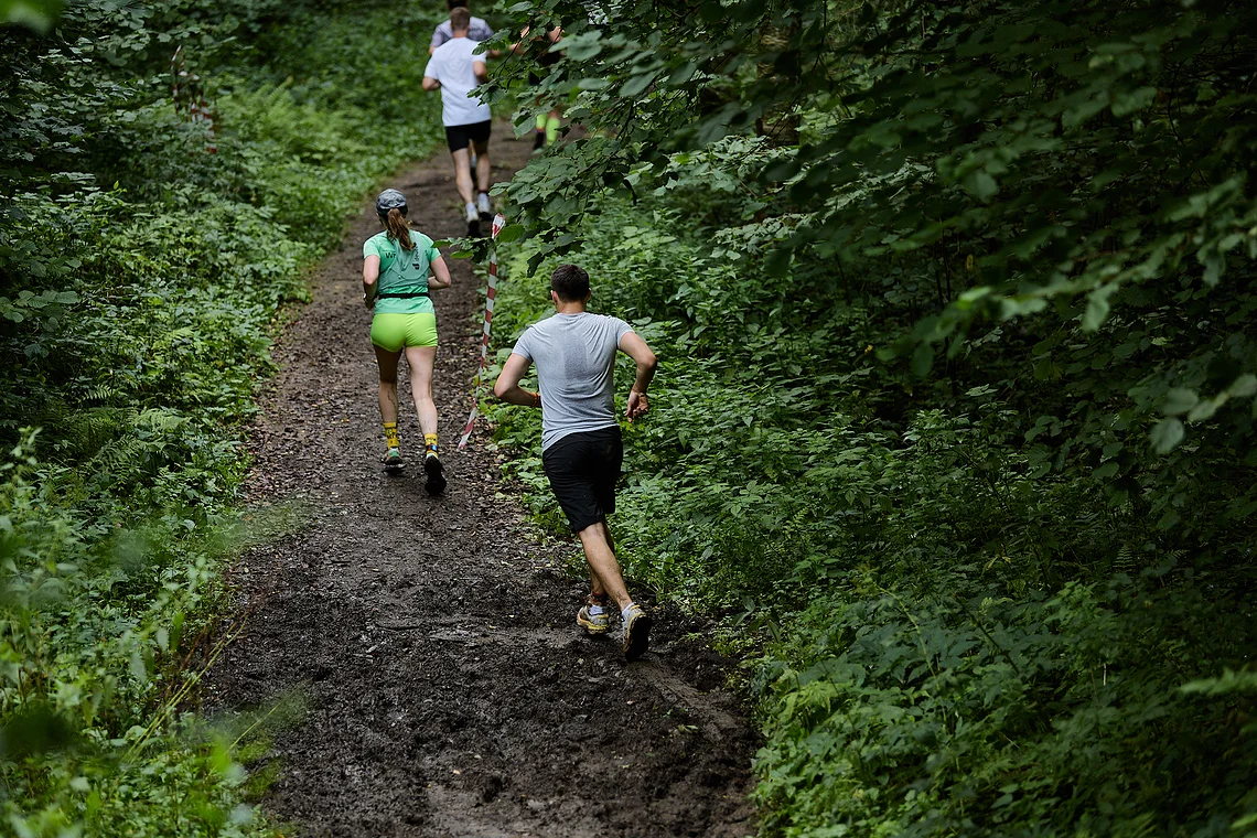 Гонка на лыжероллерах Repeat Race