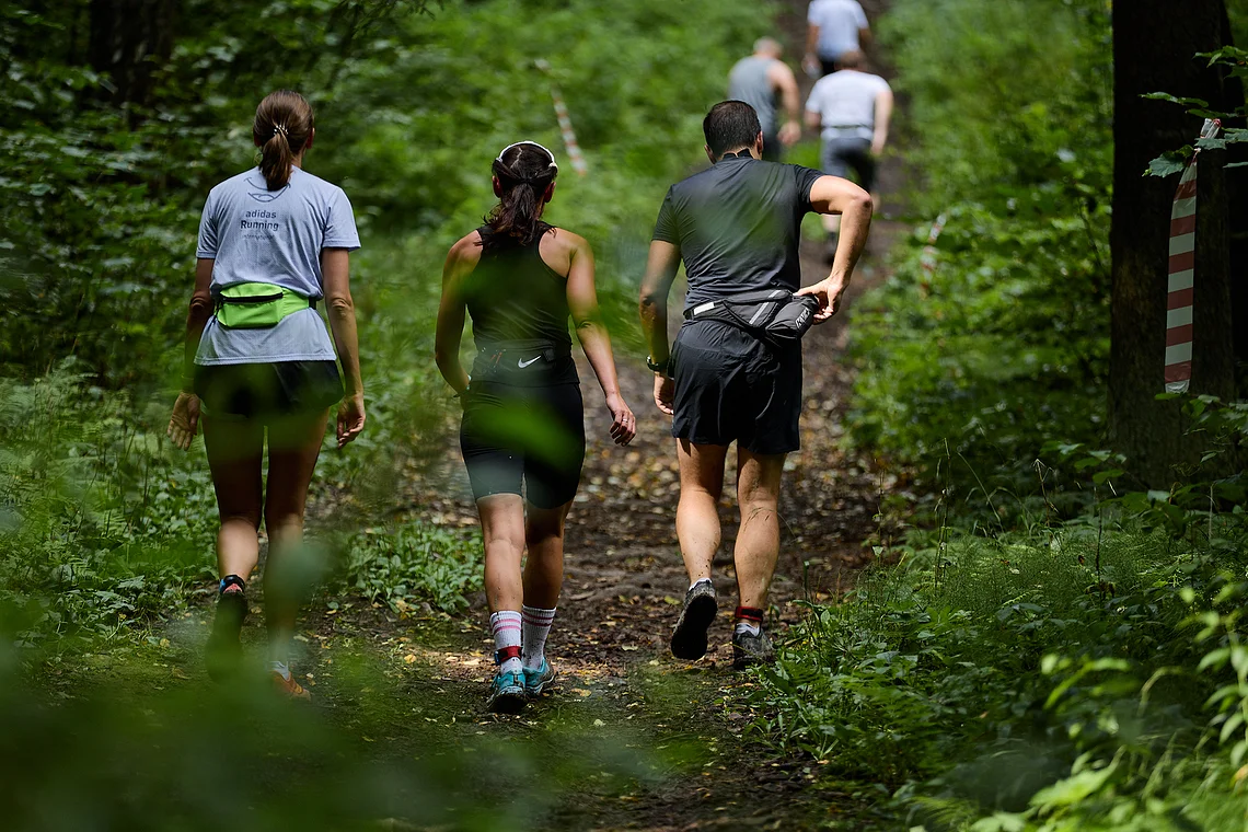 Гонка на лыжероллерах Repeat Race