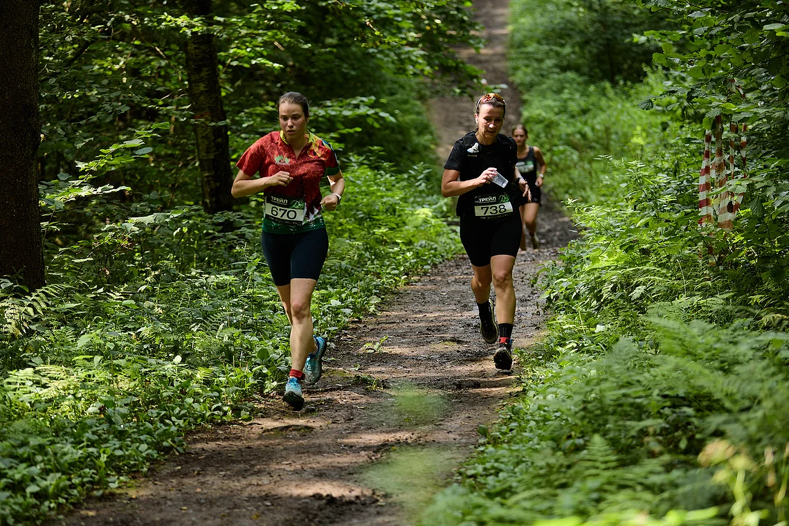 Гонка на лыжероллерах Repeat Race