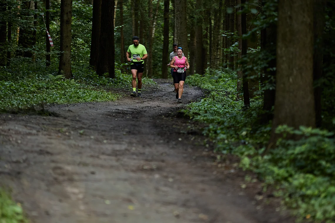 Гонка на лыжероллерах Repeat Race