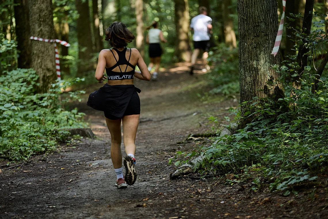 Гонка на лыжероллерах Repeat Race