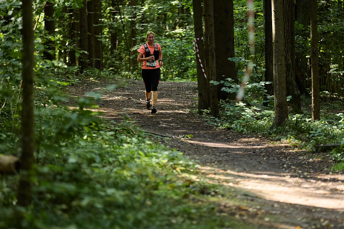 Гонка на лыжероллерах Repeat Race