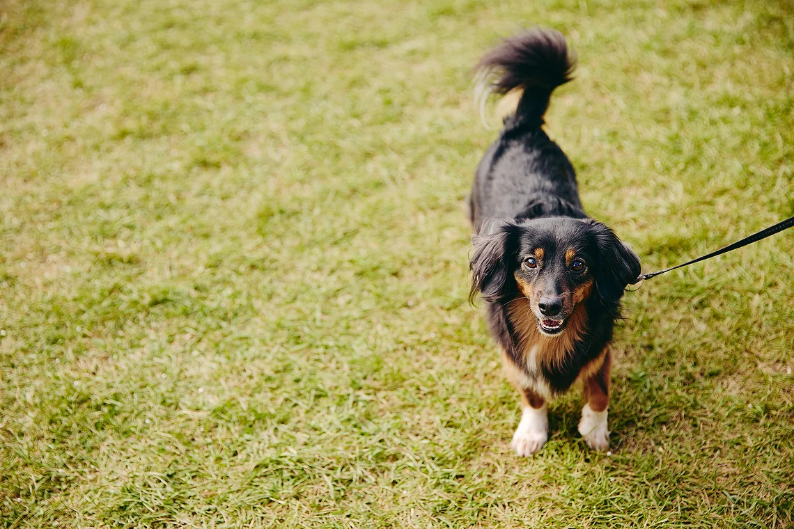 Благотворительный забег «Огонь жизни»