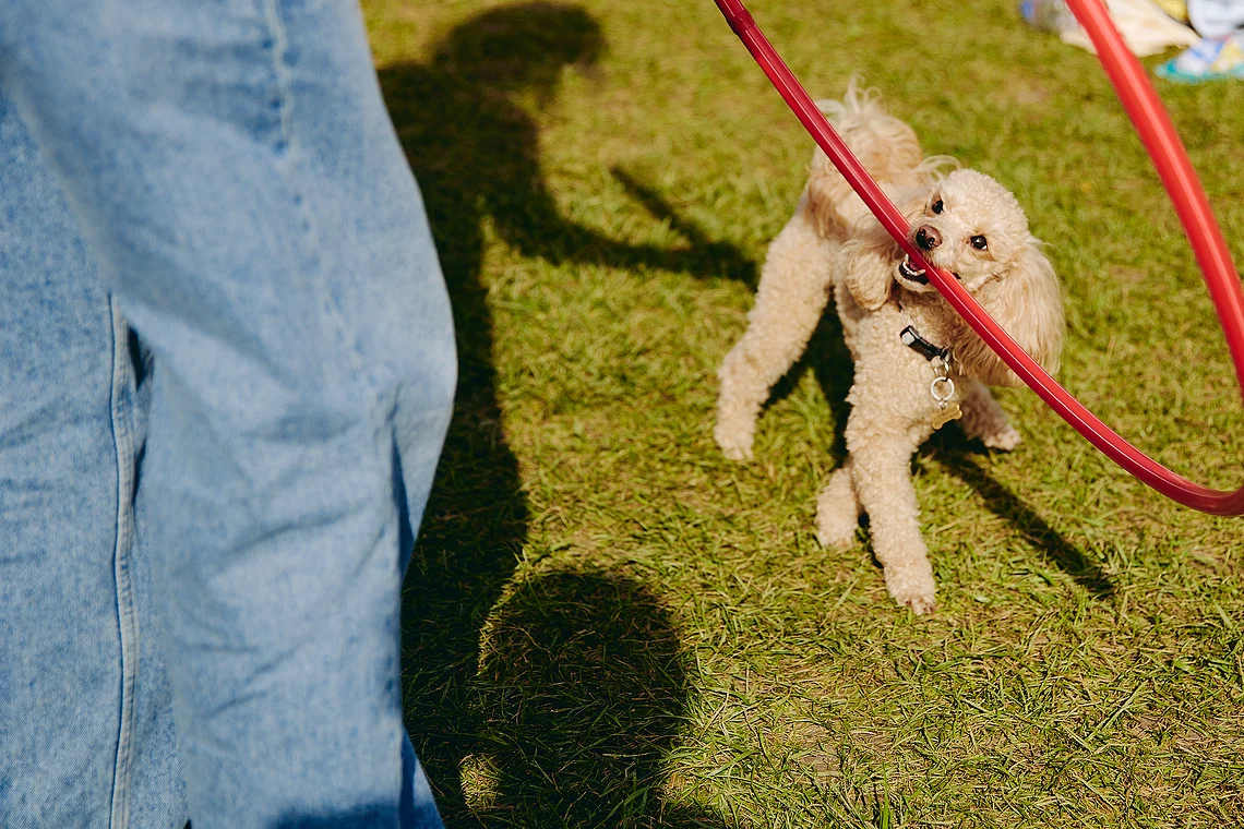 Благотворительный забег «Огонь жизни»