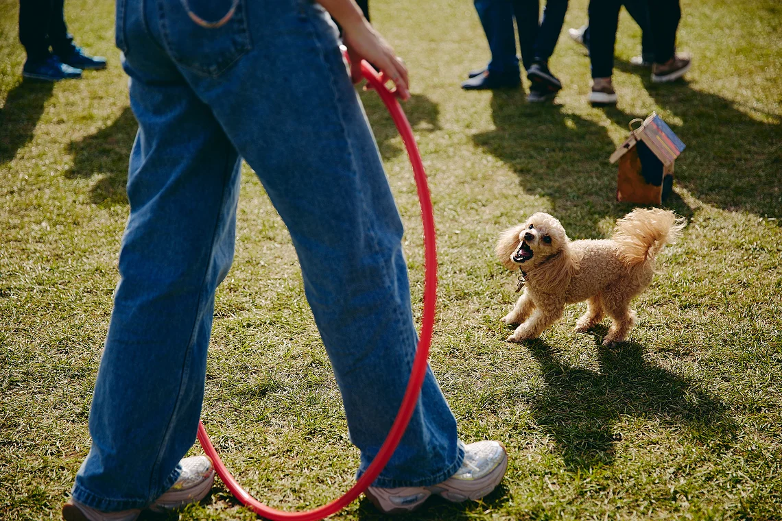 Благотворительный забег «Огонь жизни»