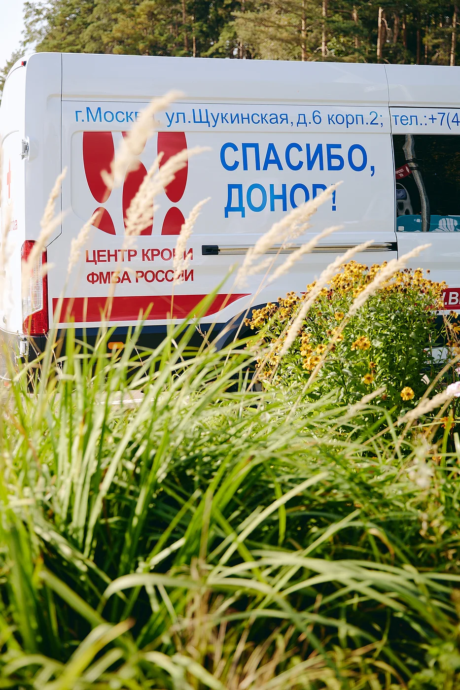 Благотворительный забег «Огонь жизни»