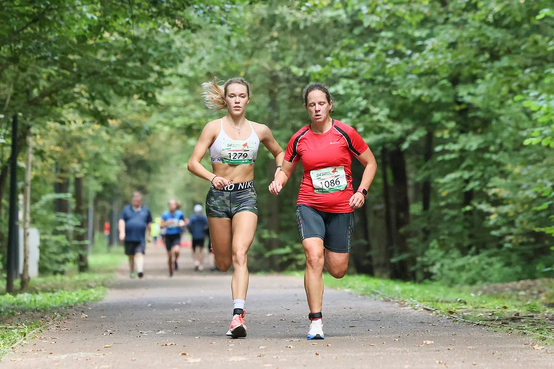 54-й Арбузный кросс