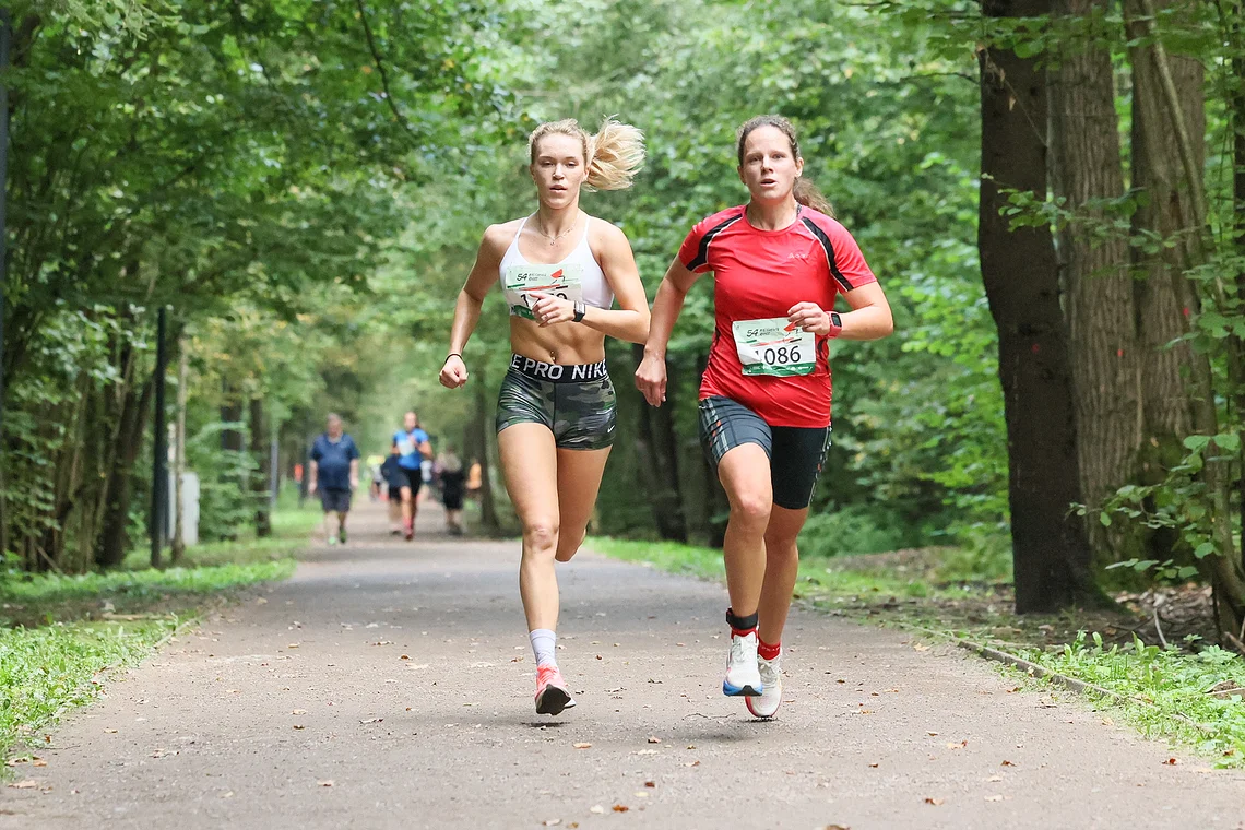 54-й Арбузный кросс