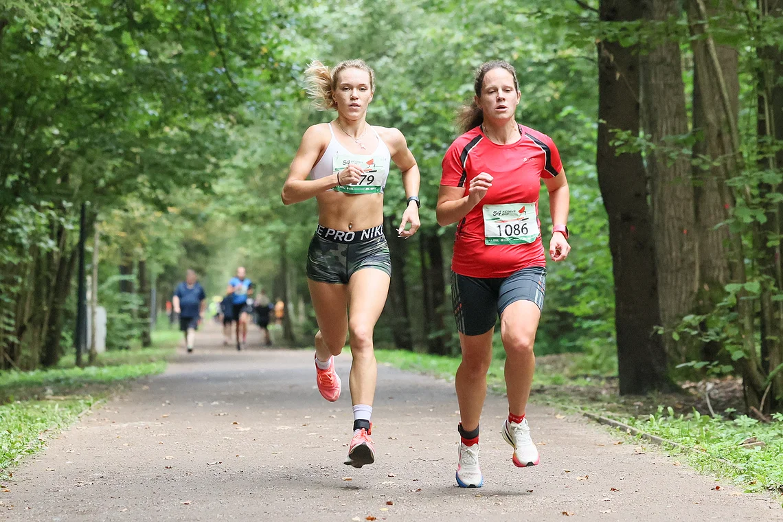 54-й Арбузный кросс