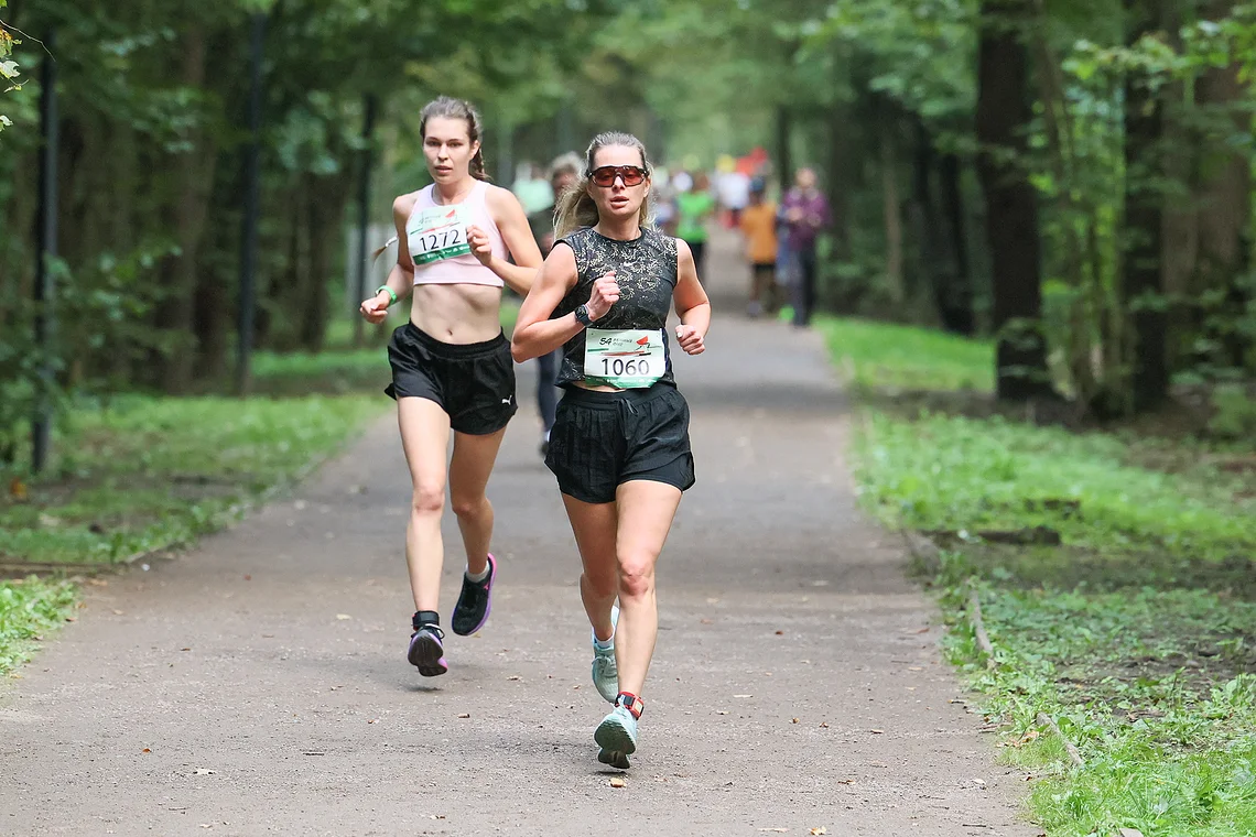 54-й Арбузный кросс