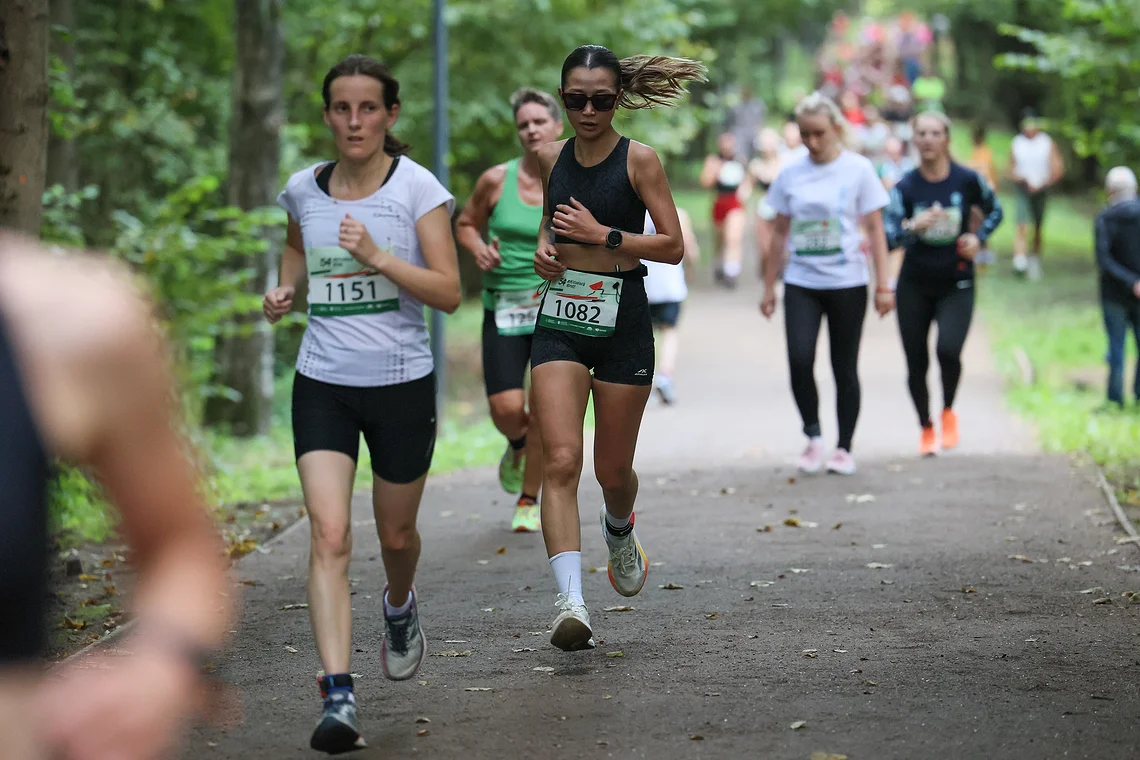 54-й Арбузный кросс