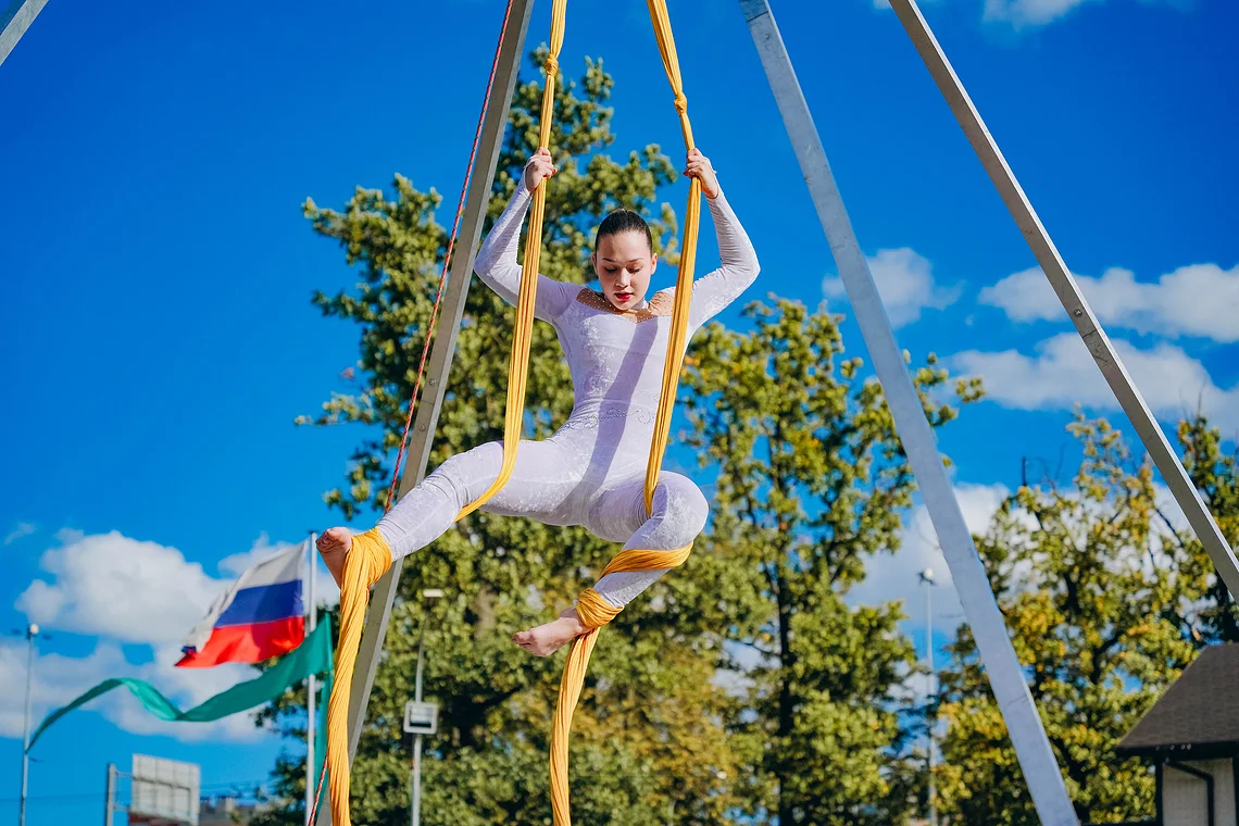 (2), Арт-поляна
